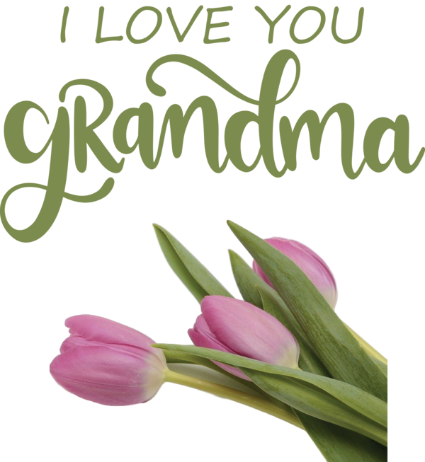 Transparent National Grandparents Day Floral design Cut flowers Tulip for Grandmothers Day for National Grandparents Day