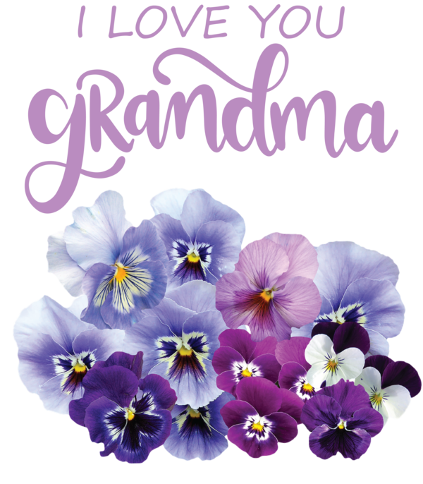 Transparent National Grandparents Day Pansy Flower Garden Flower for Grandmothers Day for National Grandparents Day