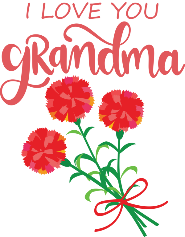 Transparent National Grandparents Day Floral design Carnation M Cut flowers for Grandmothers Day for National Grandparents Day