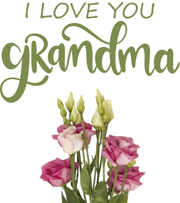 Transparent National Grandparents Day International Women's Day Kitchener, on Nőnap 2020 for Grandmothers Day for National Grandparents Day
