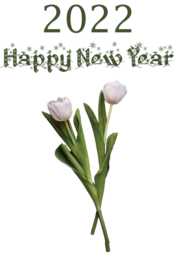 Transparent New Year Plant stem Floral design Cut flowers for Happy New Year 2022 for New Year