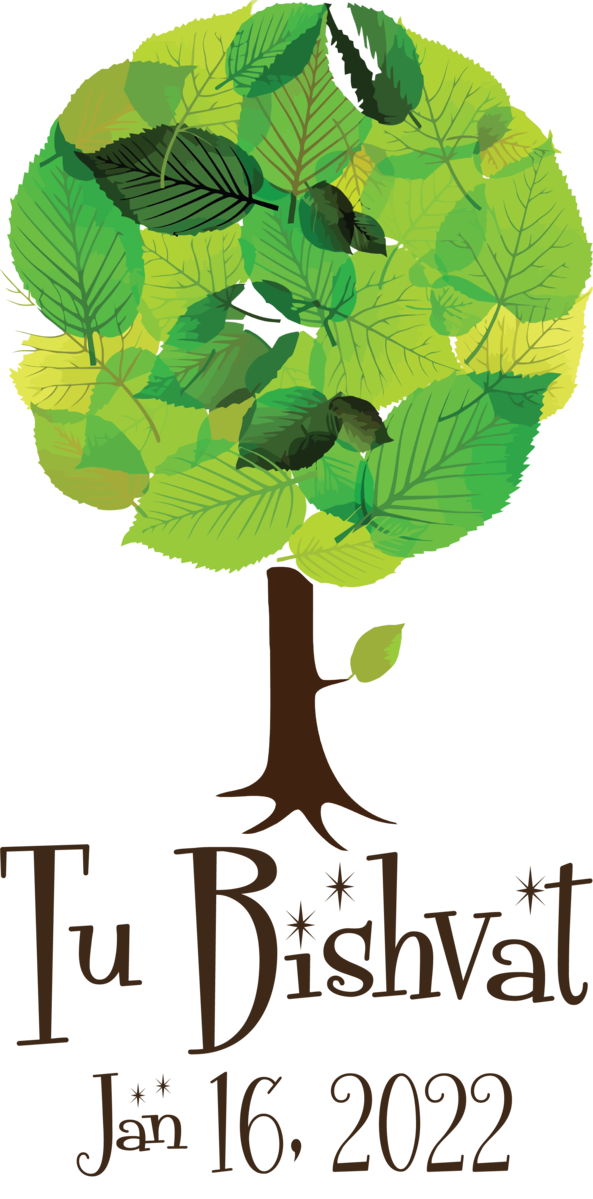 Transparent Tu Bishvat Painting 创意素描 Drawing for Tu Bishvat Tree for Tu Bishvat