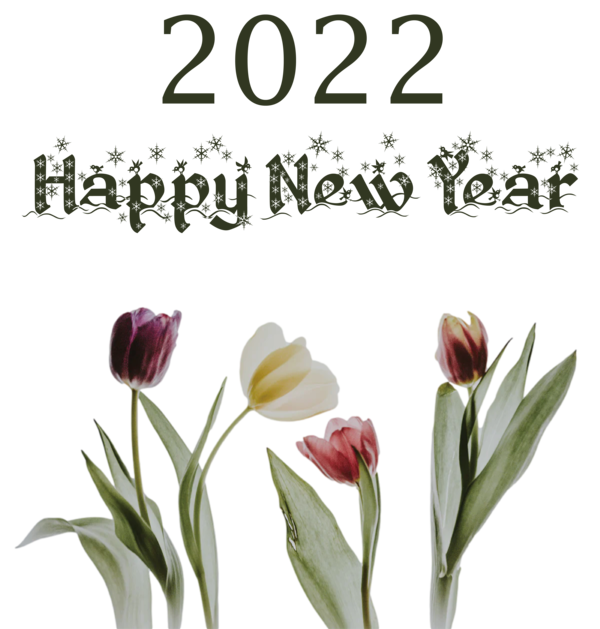 Transparent New Year Plant stem Cut flowers Tulip for Happy New Year 2022 for New Year