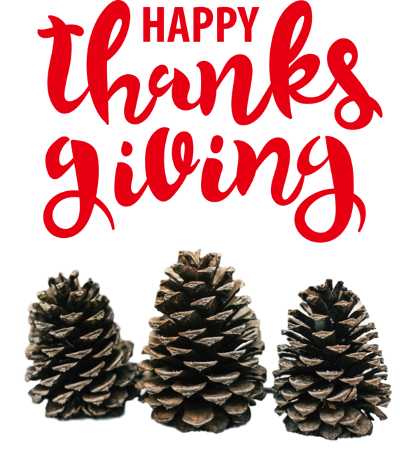 Transparent Thanksgiving Fir Christmas Ornament M Conifer cone for Give Thanks for Thanksgiving