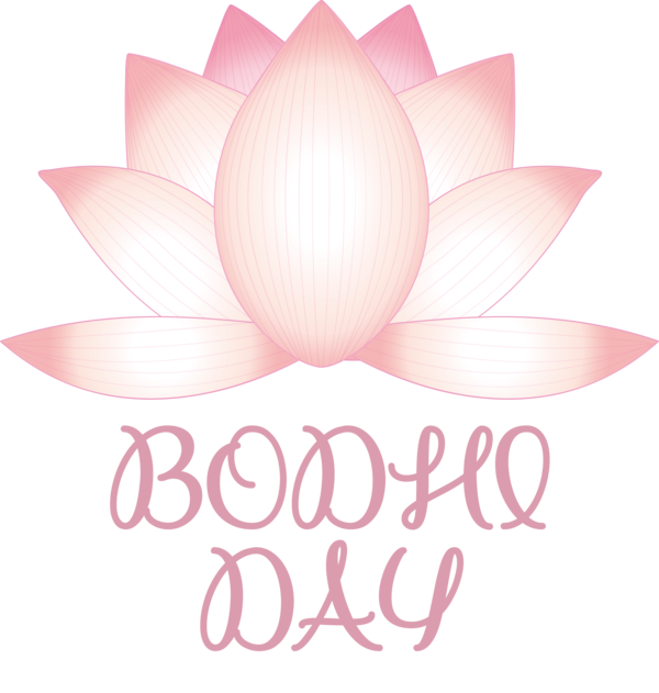 Transparent Bodhi Day Flower Petal Font for Bodhi for Bodhi Day