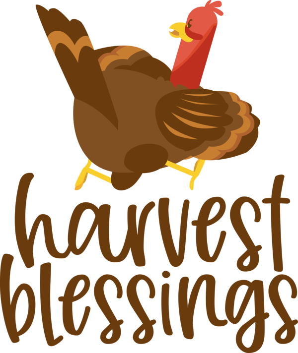 Transparent thanksgiving Landfowl Birds Chicken for Harvest for Thanksgiving