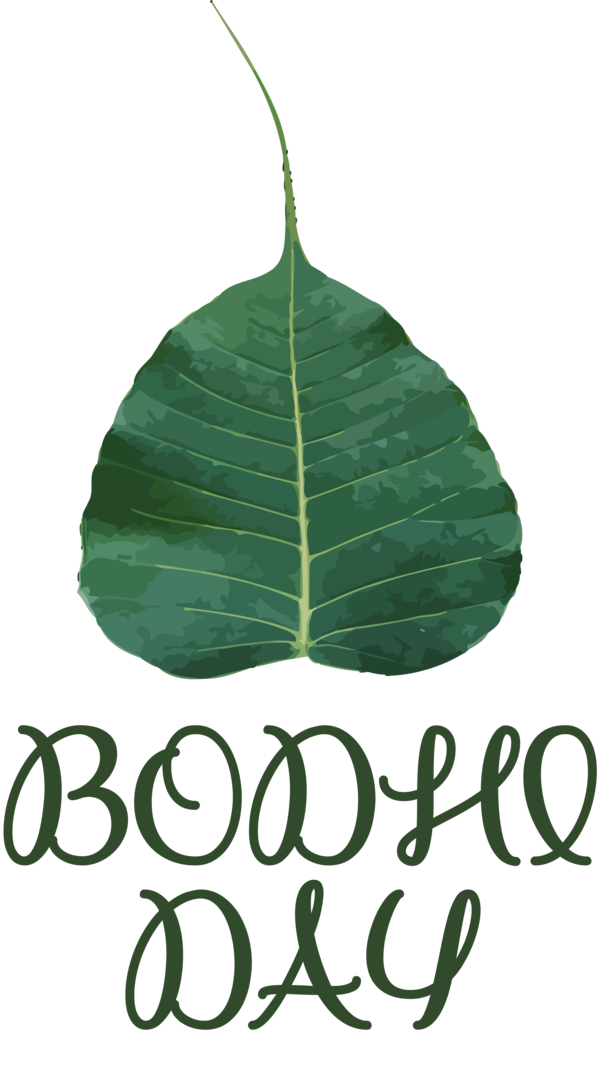 Transparent Bodhi Day Leaf Font Meter for Bodhi for Bodhi Day