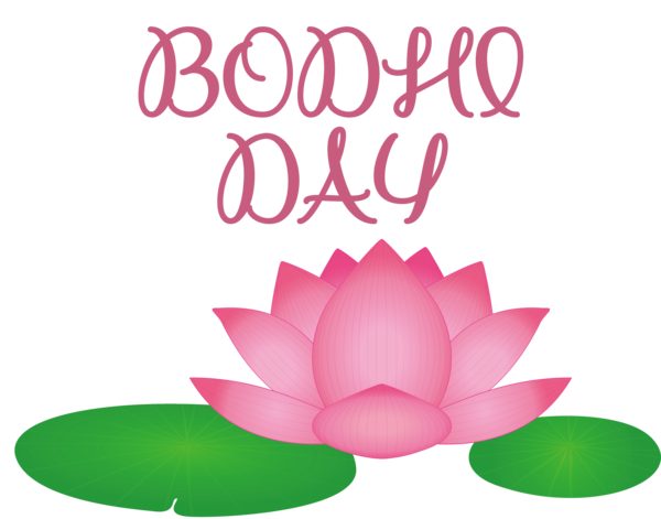 Transparent Bodhi Day Flower Leaf Petal for Bodhi for Bodhi Day