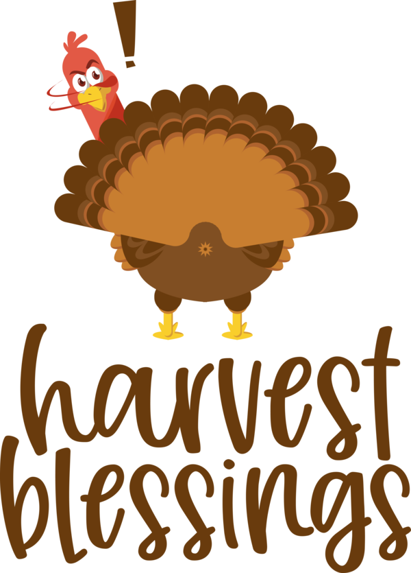 Transparent thanksgiving Thanksgiving Thanksgiving turkey Harvest for Harvest for Thanksgiving