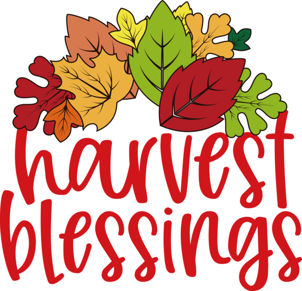 Transparent thanksgiving Floral design Design Flower for Harvest for Thanksgiving