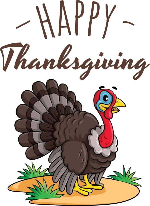 Transparent Thanksgiving Wild turkey Cartoon Drawing for Happy Thanksgiving for Thanksgiving