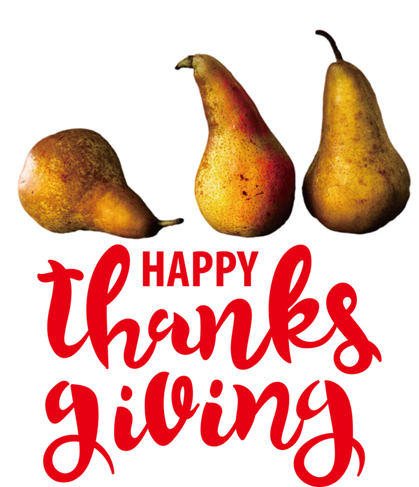 Transparent Thanksgiving Natural food Local food Pear for Happy Thanksgiving for Thanksgiving
