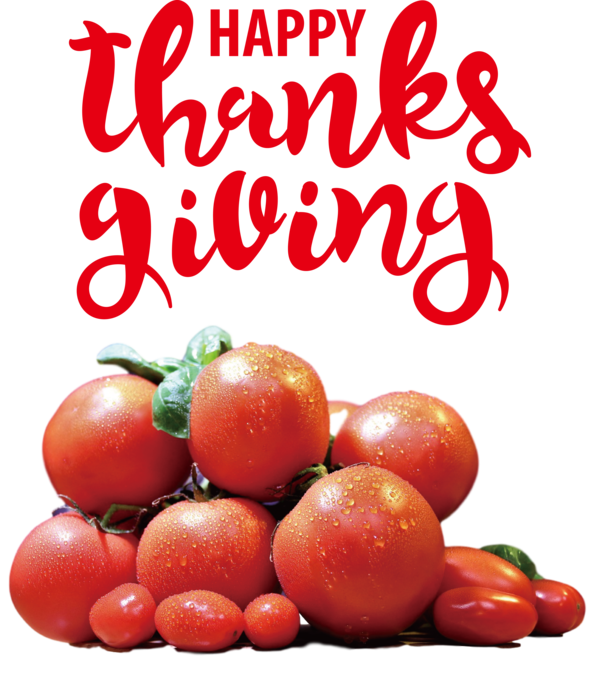 Transparent Thanksgiving Superfood Bush tomato Natural food for Happy Thanksgiving for Thanksgiving