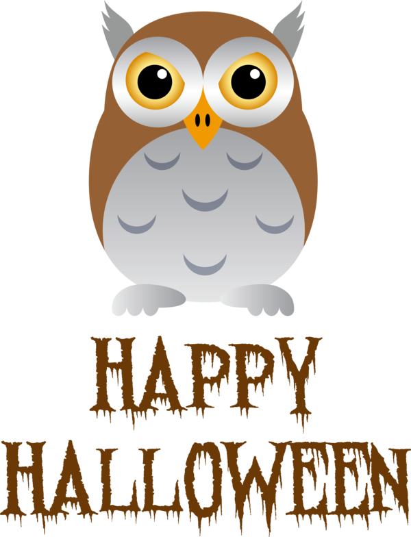 Transparent Halloween Birds Owls Beak for Happy Halloween for Halloween
