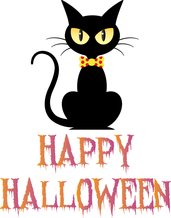 Transparent Halloween Kitten American Shorthair Black cat for Happy Halloween for Halloween