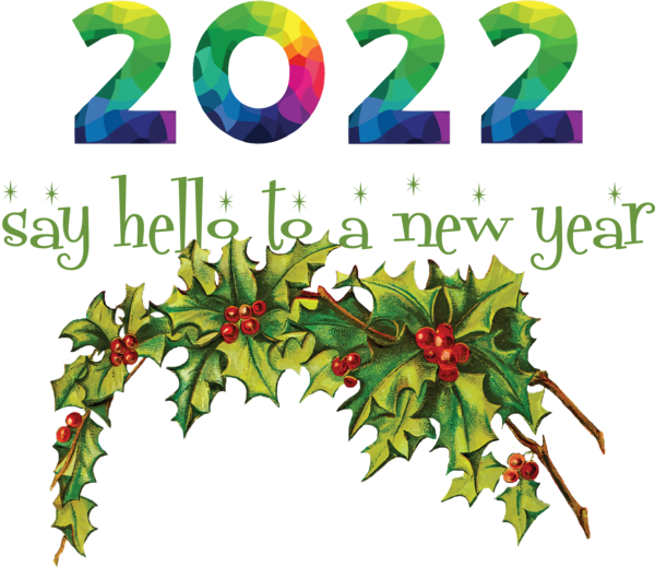 Transparent New Year Christmas Day Christmas Wreath Common holly for Happy New Year 2022 for New Year