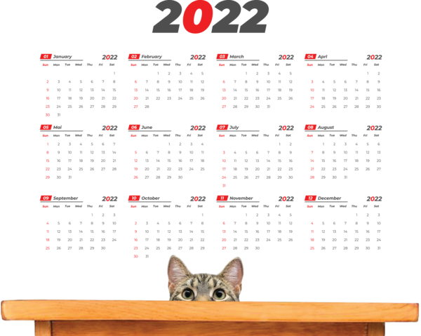 Transparent New Year Visual Basic for Applications Microsoft Excel Table for Printable 2022 Calendar for New Year