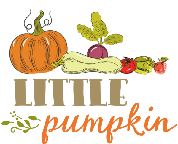 Transparent Thanksgiving Vegetable  Natural food for Thanksgiving Pumpkin for Thanksgiving