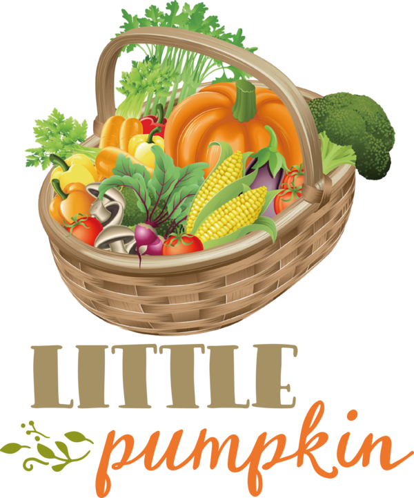 Transparent Thanksgiving Vegetable Fresh Vegetable Fruit for Thanksgiving Pumpkin for Thanksgiving