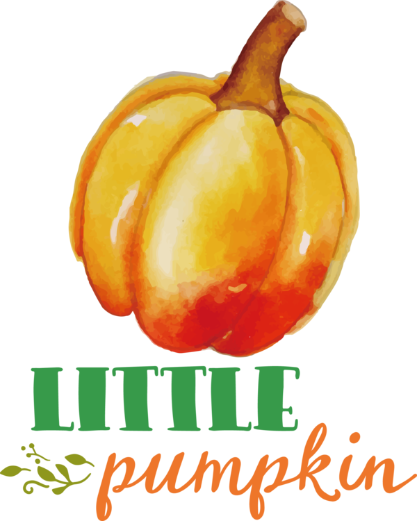 Transparent Thanksgiving Habanero Chili pepper Vegetable for Thanksgiving Pumpkin for Thanksgiving