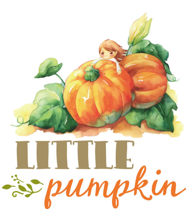 Transparent Thanksgiving Pumpkin pie Pumpkin Jantar de Ação de Graças for Thanksgiving Pumpkin for Thanksgiving