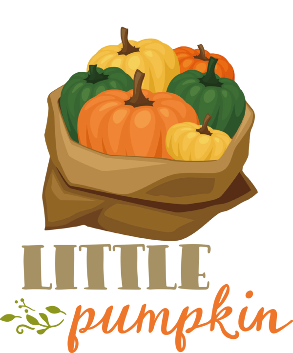 Transparent Thanksgiving Squash Jack-o'-lantern Natural food for Thanksgiving Pumpkin for Thanksgiving