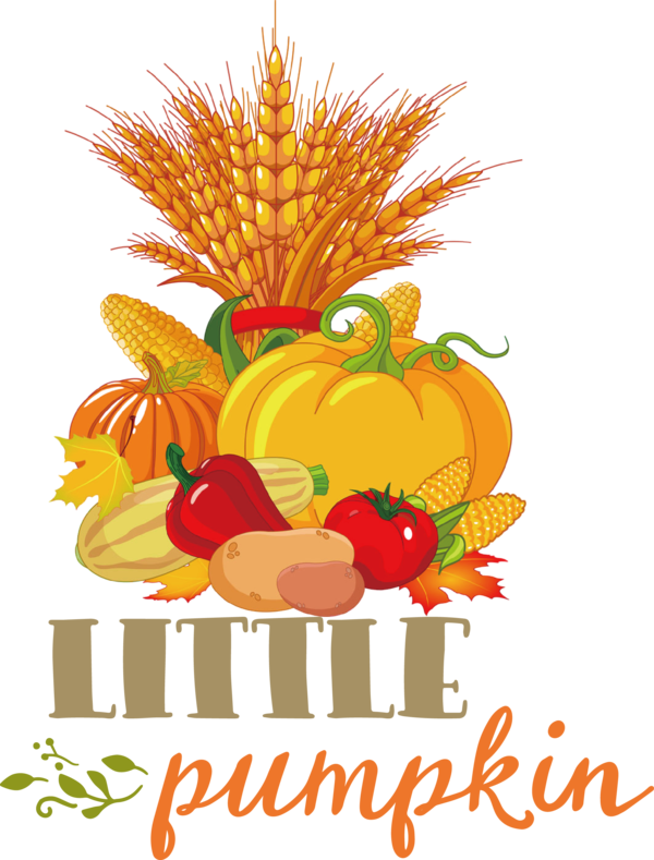 Transparent Thanksgiving Royalty-free Icon Harvest for Thanksgiving Pumpkin for Thanksgiving