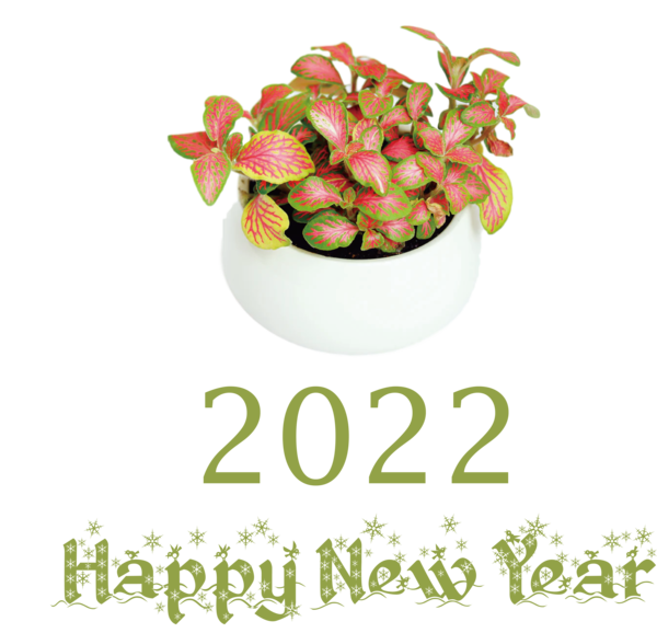Transparent New Year Nerve plant Ornamental plant Design for Happy New Year 2022 for New Year
