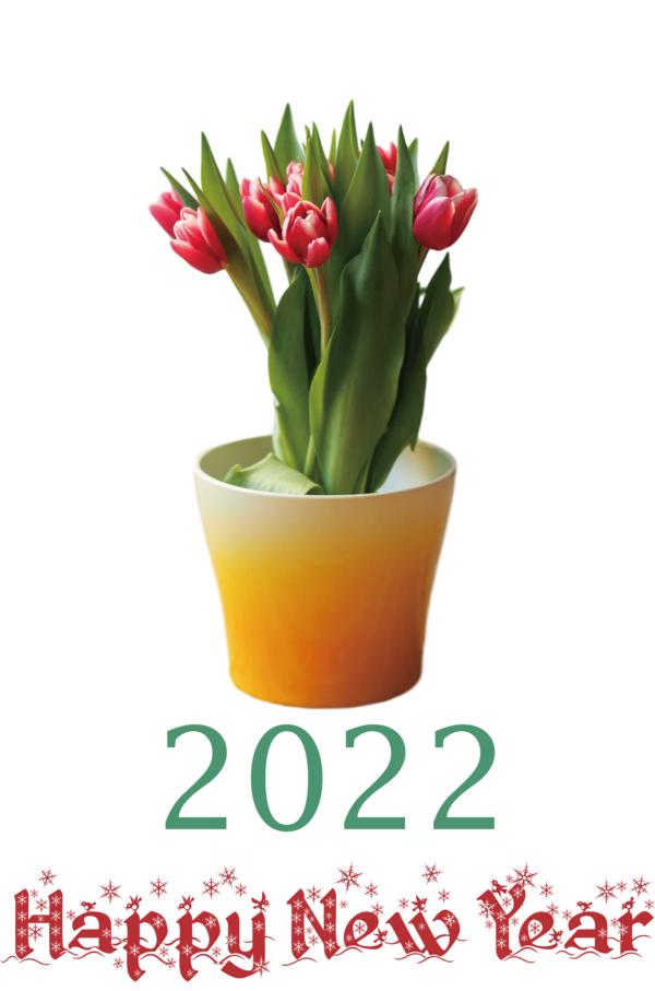 Transparent New Year Flower Cut flowers Flowerpot for Happy New Year 2022 for New Year
