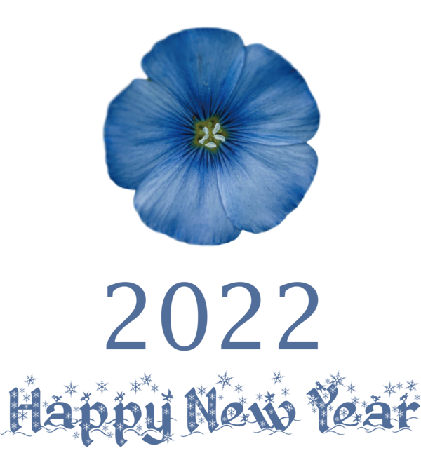 Transparent New Year Pansy Herbaceous plant Cobalt blue for Happy New Year 2022 for New Year