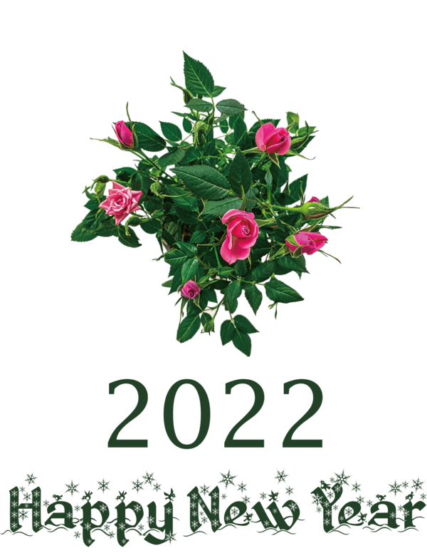 Transparent New Year Nouvel an 2022 Sew Day 2022 for Happy New Year 2022 for New Year
