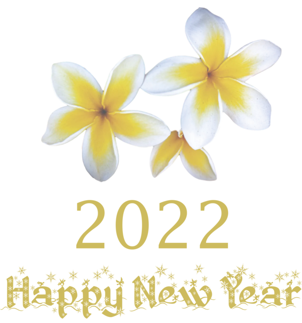 Transparent New Year Flower Cut flowers Petal for Happy New Year 2022 for New Year