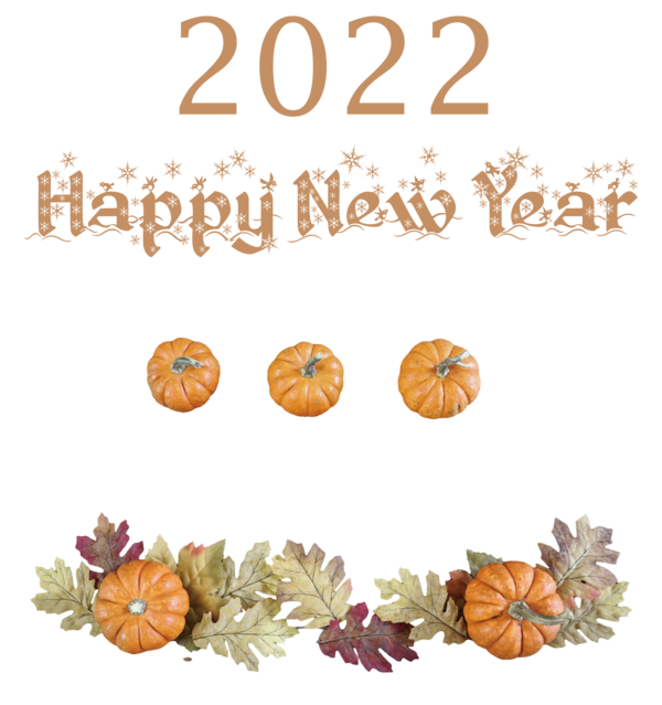 Transparent New Year New Year Chinese New Year Thanksgiving for Happy New Year 2022 for New Year