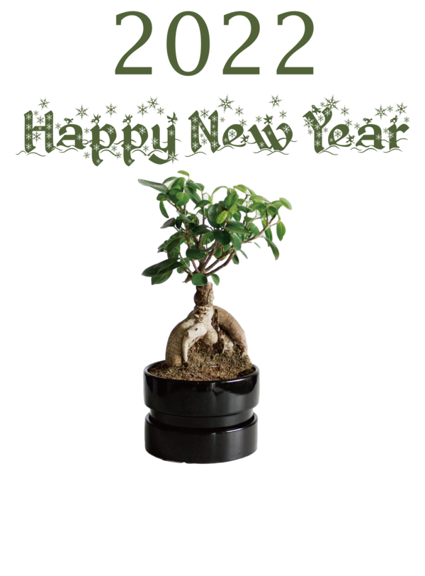 Transparent New Year Bonsai Houseplant Design for Happy New Year 2022 for New Year