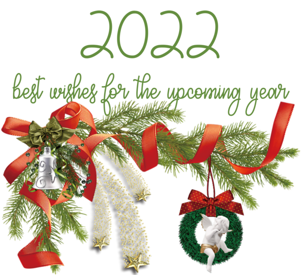 Transparent New Year Christmas Day Mrs. Claus Santa Claus for Happy New Year 2022 for New Year