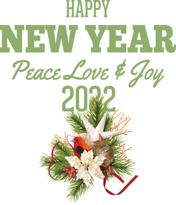 Transparent New Year Floral design Bauble for Happy New Year 2022 for New Year