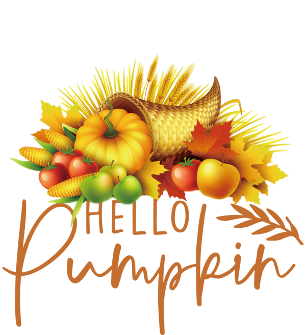 Transparent Thanksgiving Natural food Vegetable Superfood for Thanksgiving Pumpkin for Thanksgiving
