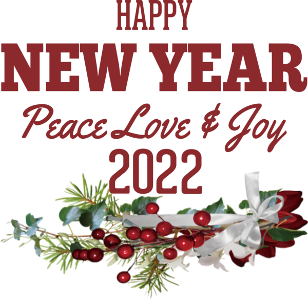 Transparent New Year Christmas Day Bauble Holly for Happy New Year 2022 for New Year