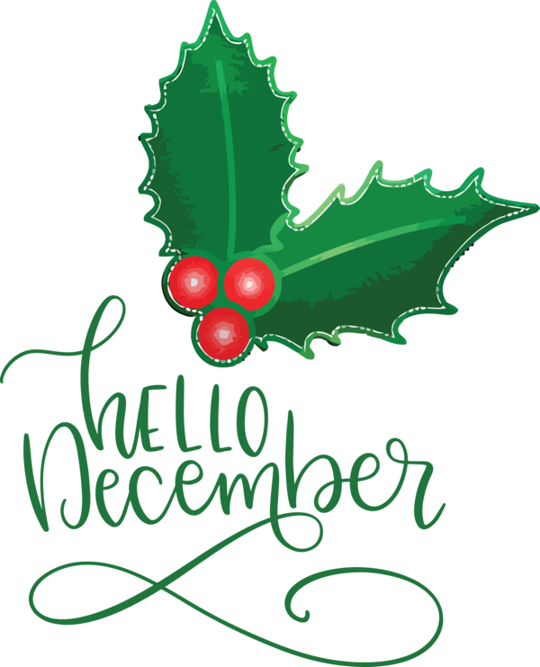 Transparent Christmas Holly Leaf Aquifoliales for Hello December for Christmas