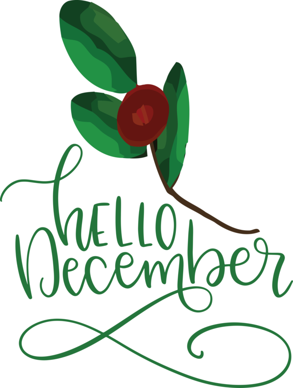 Transparent Christmas Flower Plant stem Logo for Hello December for Christmas