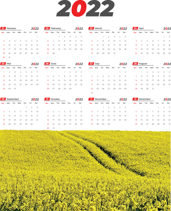 Transparent New Year Line Rapeseed Font for Printable 2022 Calendar for New Year