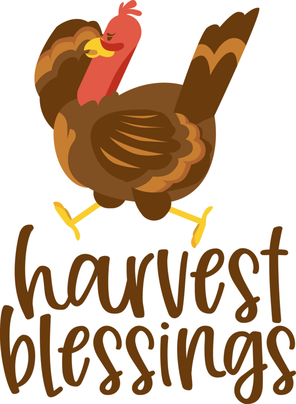 Transparent Thanksgiving Birds Landfowl Toucans for Harvest for Thanksgiving