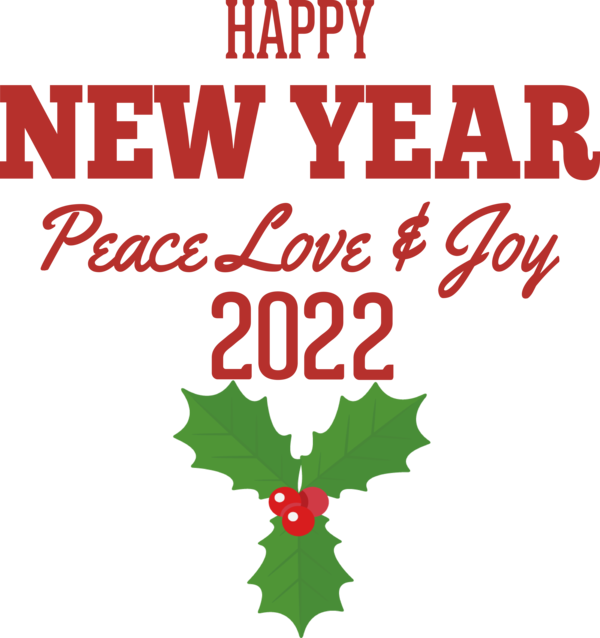 Transparent New Year Bauble Christmas Day Holly for Happy New Year 2022 for New Year