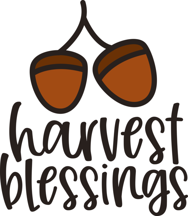 Transparent Thanksgiving Sunglasses Goggles Glasses for Harvest for Thanksgiving