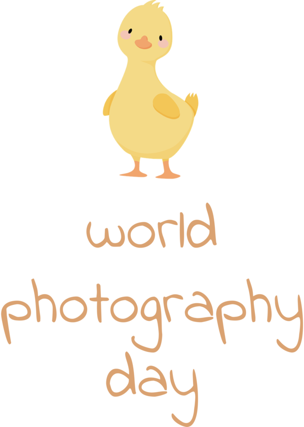 Transparent World Photography Day Birds Duck Beak for Photography Day for World Photography Day