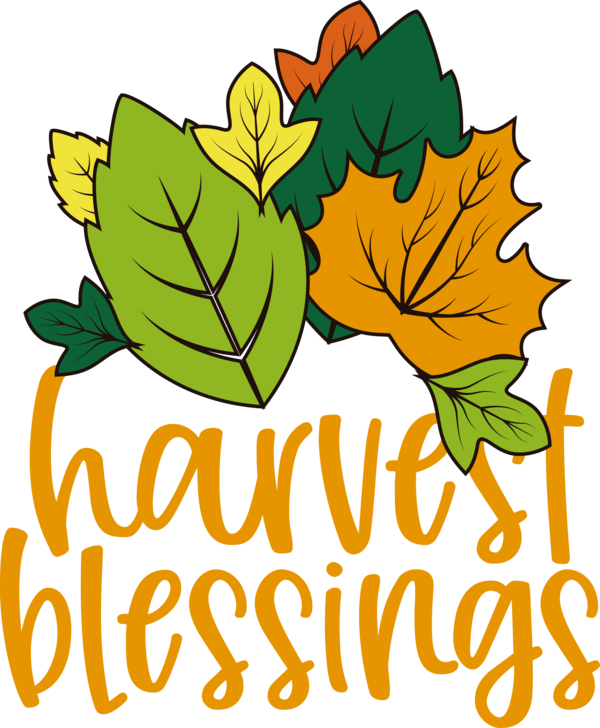 Transparent Thanksgiving Leaf Drawing Logo for Harvest for Thanksgiving