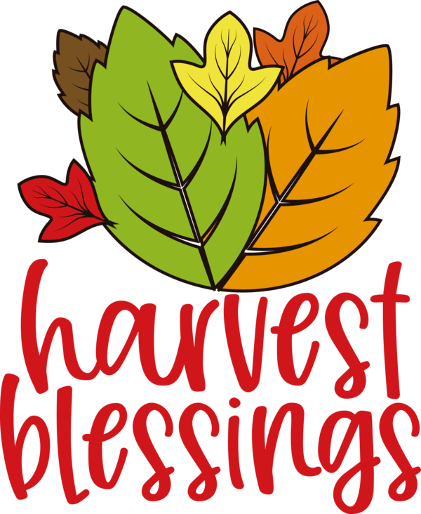 Transparent Thanksgiving Floral design Leaf Plant stem for Harvest for Thanksgiving