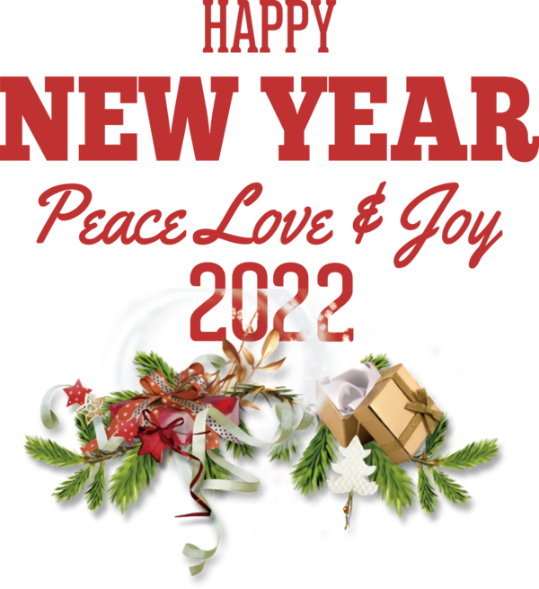 Transparent New Year Bauble Christmas Day Floral design for Happy New Year 2022 for New Year