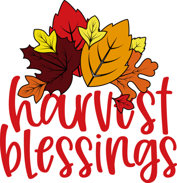 Transparent thanksgiving Flower Floral design Design for Harvest for Thanksgiving