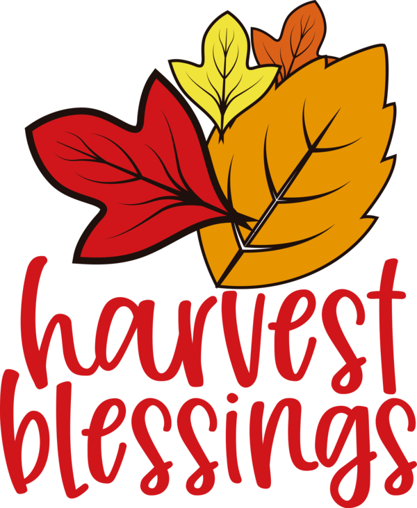 Transparent thanksgiving Cut flowers Leaf Floral design for Harvest for Thanksgiving